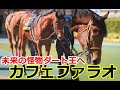 【カフェファラオ】ヒヤシンスステークス（3歳・オープン）に断然の1番人気で出走！スタート出遅れながらも異次元の強烈な差し脚で直線突き抜ける！未来のダート王候補が2戦目でド派手なパフォーマンス演じる！！