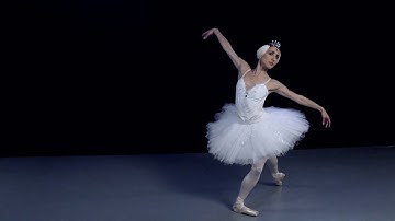 This is your brain on art.