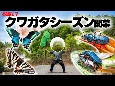 七匹の怪物 七匹の怪物 七匹の怪物 Z/X Zillions of