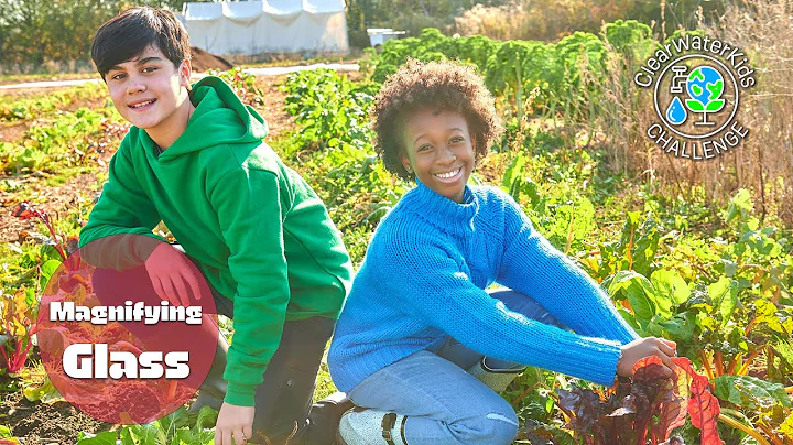 Magnifying Glass | ClearWaterKids Challenge | Shaftesbury Kids