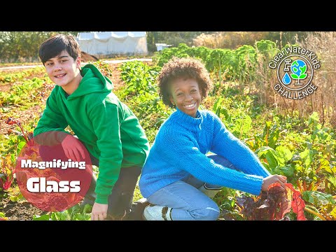 Magnifying Glass | ClearWaterKids Challenge | Shaftesbury Kids
