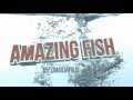 Pajama Cardinal: Amazing fish