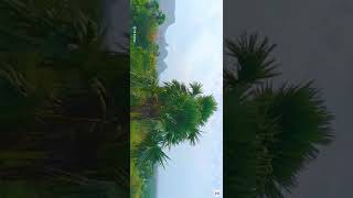 Usurukkul un Pera eluthi vachen