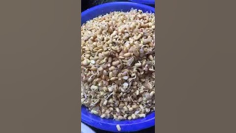 NGŨ CỐC MIN MIN - 0963333200