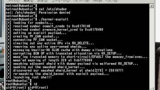 Linux Kernel(CVE-2010-2959)