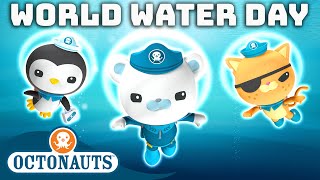 ​@Octonauts   World Water Day Special! | Compilation | Underwater Sea Education