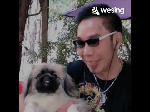 倩影   舊梦不須記  無奈  何世軒唱