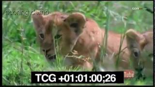Richard Gould - Scoring to Picture - Nature Documentary