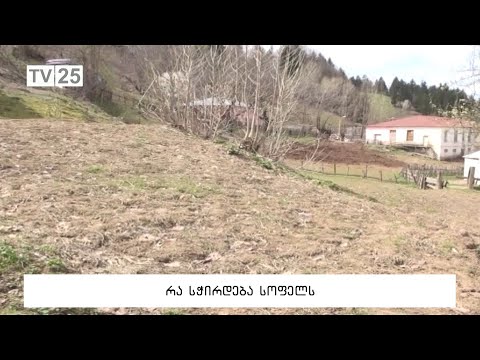 რა სჭირდება სოფელს