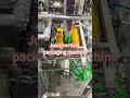 Juice Vertical Packaging Machine | Automatic VFFS Liquid Packaging Solution
