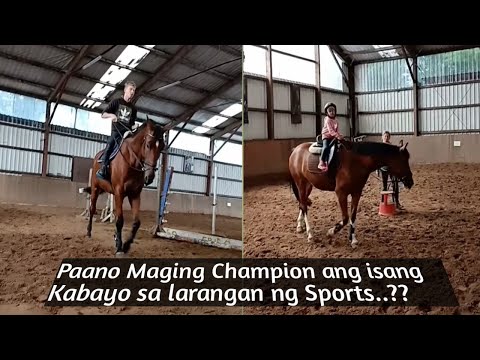 Video: Paano Maging Matagumpay Sa
