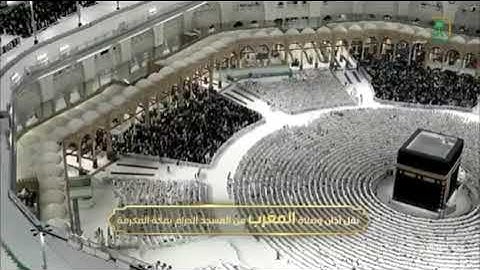 صلاة المغرب من رحاب المسجد الحرام فضيلة الشيخ الوليد بن خالد الشمسا ماتيسر من سورة صٓ في(موضعين)