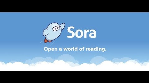 Sora introduction
