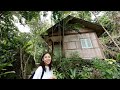 My secret &quot;Jungle House&quot; in Malaysia...
