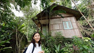 My secret 'Jungle House' in Malaysia...