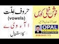 OPAL Urdu Handwriting- Haroof e illat  حروف عِلـت کا استعمال  vowels
