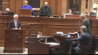 SC Senate debates six-week abortion ban