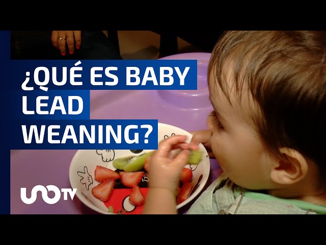 De la leche al Baby Led Weaning (BLW) - Proyecto SENDO