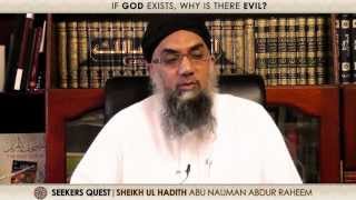 16. If God exists, why is there evil?