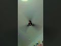 pankha chale to hawa deta hai#viral short#😂😂##funny