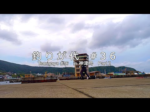 #36 神津島の堤防で思わぬ珍客に出くわす!|in 神津島 |4K動画