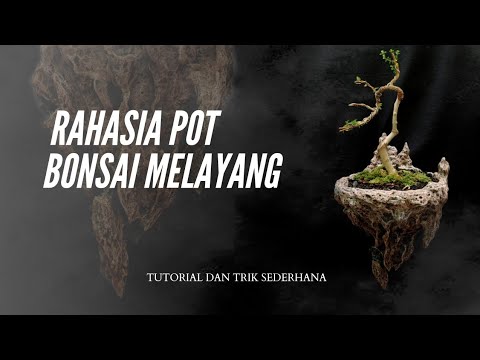 tutorial membuat pot bonsai melayang | pot bonsai avatar viral