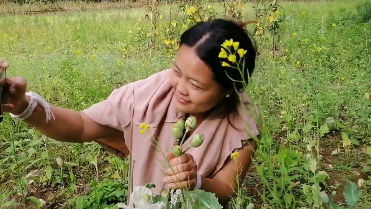 Kwv​ txhiaj​ tsis​ muaj​ tub​ muaj​ kis​ tu​ siab​ heev​ nas​ Lis​ Tsab​