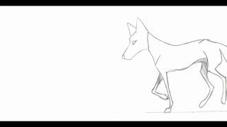 fox running on heartbeat