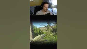 WE KILLED A CHEATER - #escapefromtarkov #shorts