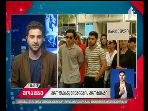 კერძო პროფესიული სასწავლებლები განათლების სამინისტროს წინააღმდეგ