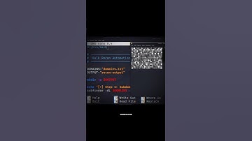 This script is for beginners🤯 #cybersecurity #infosec #bugbounty #automation