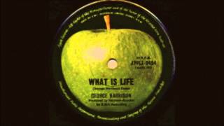 Video thumbnail of "What Is Life (George Harrison Tribute)"
