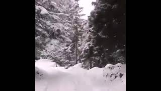 Umudum Her Zaman Bakidir, Ama Zaman Kısa, Ben Yorgunum, Yol Uzun 