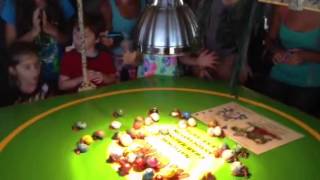 Hermit Crab Racing at Florida Key Lime Company