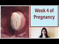 Week 4 of pregnancy  weekly pregnancy tips in kannada 1st month of pregnancy