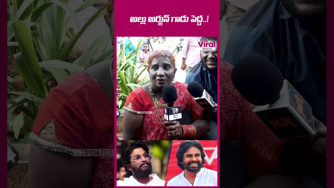 అల్లు అర్జున్ గాడు 