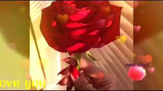 Rose day special with finhall song .  Happy rose day     love you  red rose special catagory