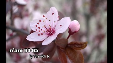 Surah AlAn'am 63 65 Sheikh Idris Abaker  سورة الأنعام 63 65 الشيخ إدريس أبكر