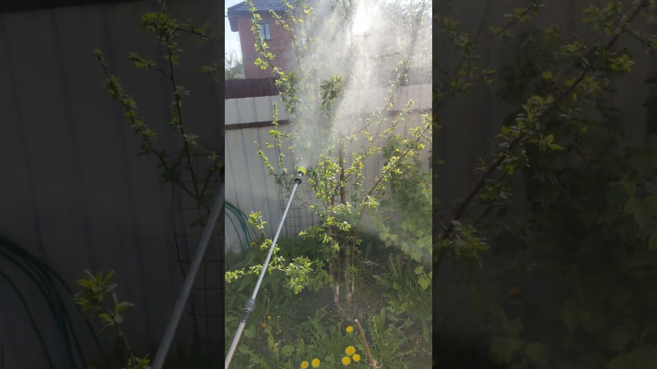 Опрыскиватель садовый, аккумуляторный.