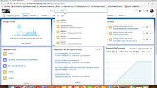 Salesforce Global Search Guide