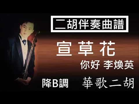 萱草花 你好,李煥英 降B調 二胡伴奏
