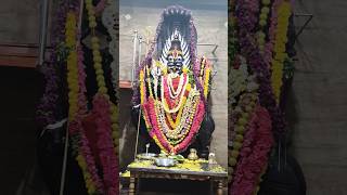 🙏🏻#share#god#world#temple#mariamma#amma#amman#festival#function#shorts#shortvideo#short#youtube#like