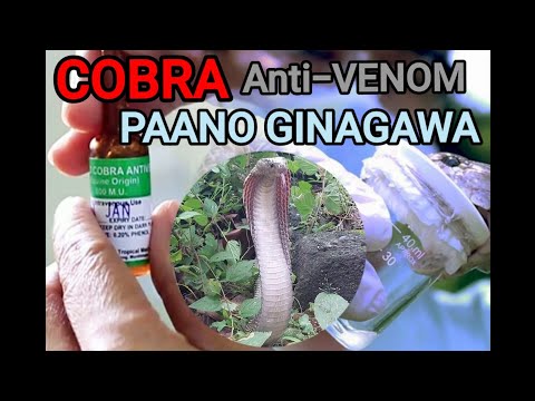 Video: Paano Gumawa Ng Cobra