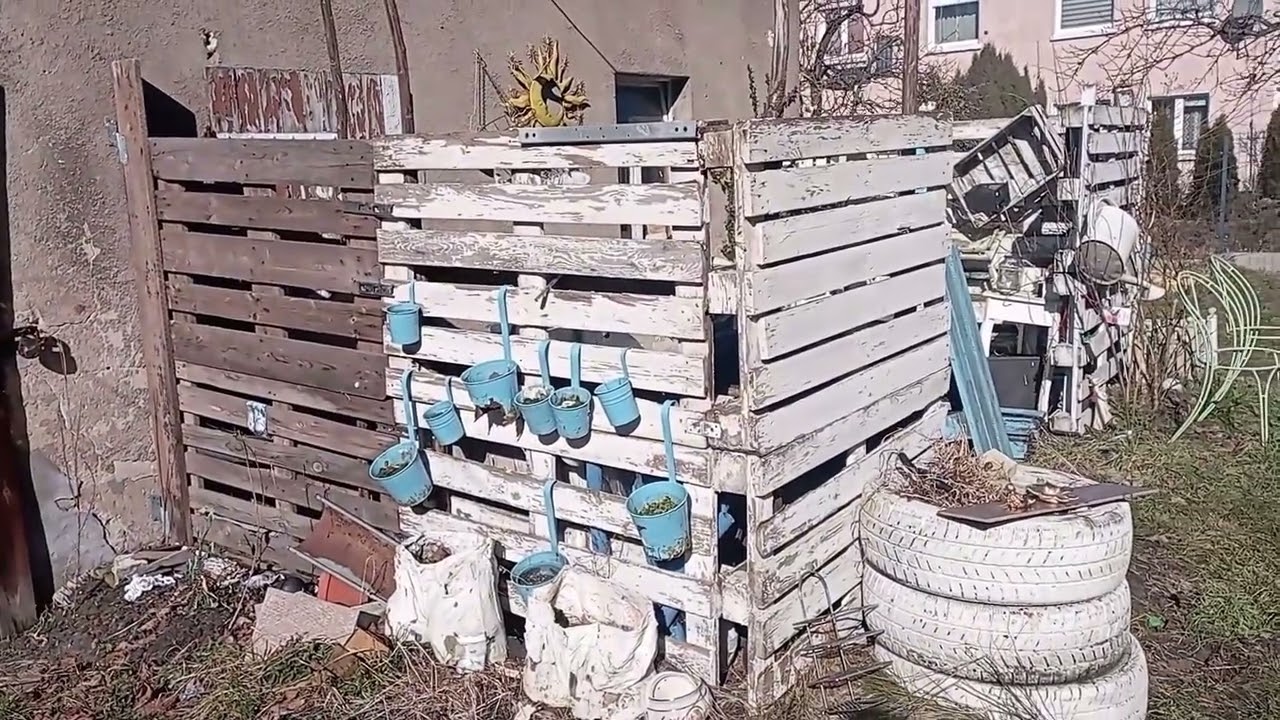 Złoto wchodzi do kącika..