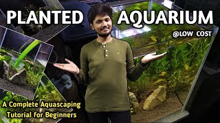 Planted Tank Setup | How to Setup Planted Aquarium for Beginners Without CO2 | Wonder Aqua Garden