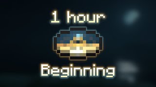 Beginning (1 hour)