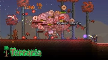 Brain of Cthulhu - Terraria : Boss fight