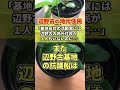 辺野古の地元住民「辺野古の地元住民は辺野古基地反対の活動家が1人もいない」 #shorts