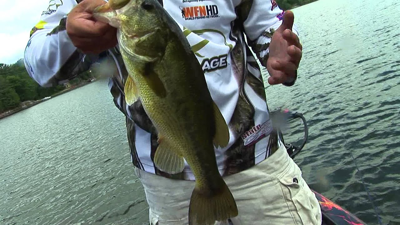 Shoreline Bucketmouth Bass- Unleashed