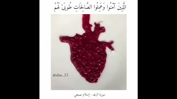 ألا بذكر الله تطمئن القلوب - إسلام صبحي - سورة الرعد